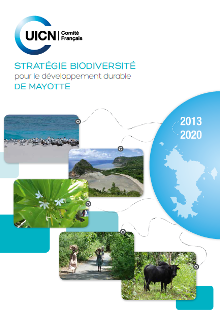 Capture_strategie_Mayotte_site_web-220x314