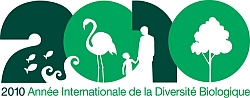 IYB2010_Logo_French_sm-250x98