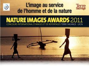 nature_image_award-288x216