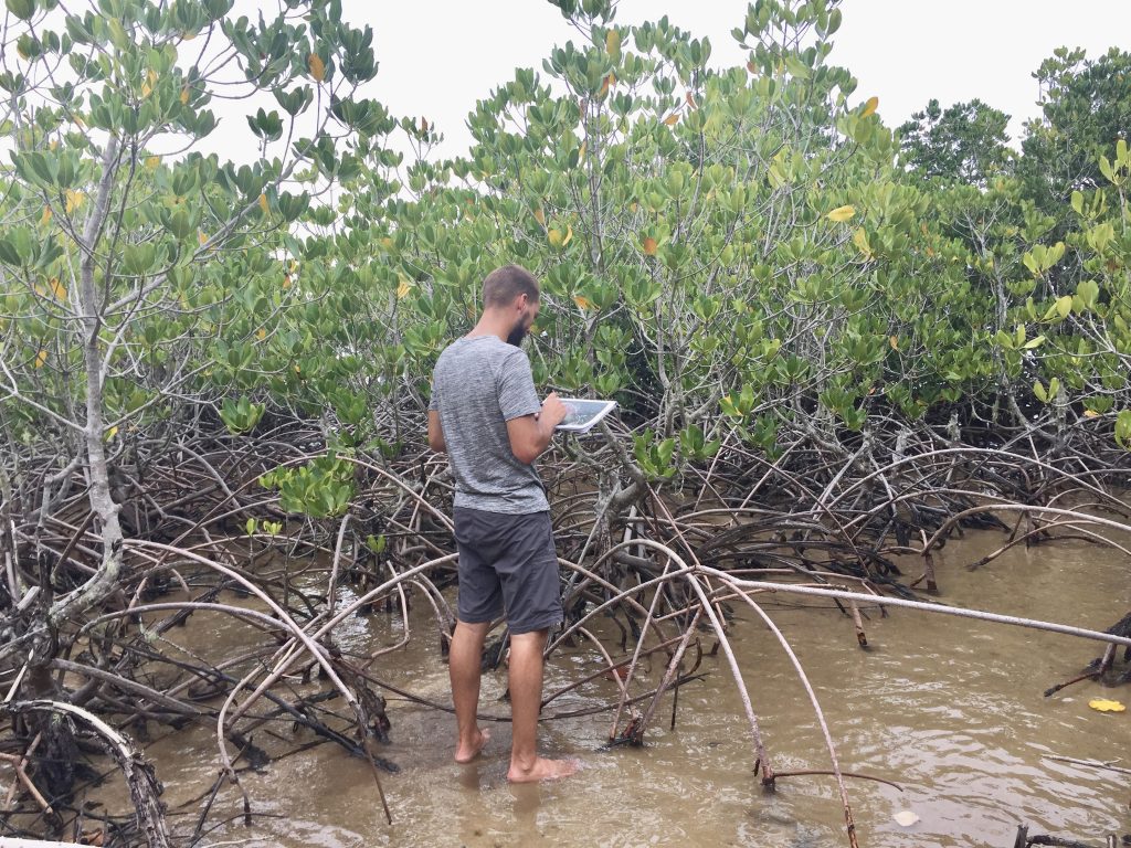 Patrick Littorie Les Crimes De La Mangrove La nouvelle application pour protéger les mangroves – Pôle-relais Zones