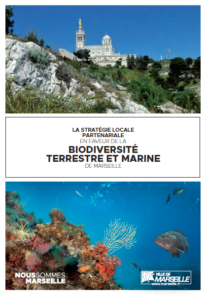 Stratégie locale partenariale Marseille Biodiv