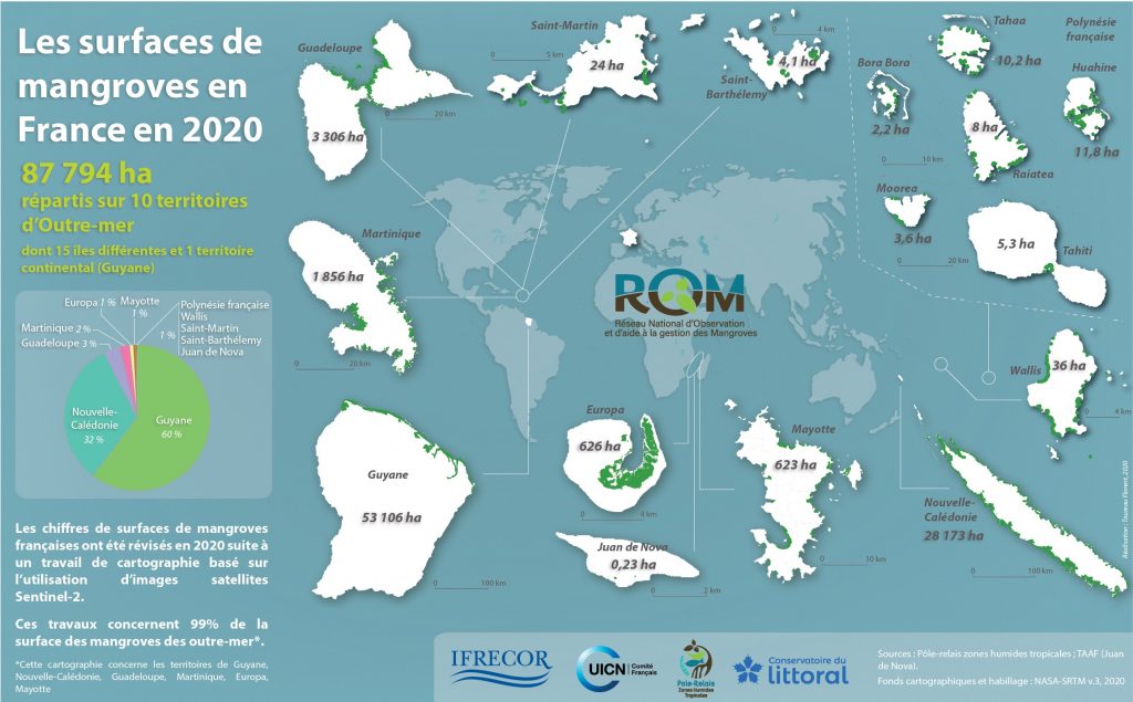 Mangroves en France en 2020 - CARNAMA nov2020