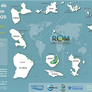 Mangroves en France en 2020 - CARNAMA nov2020