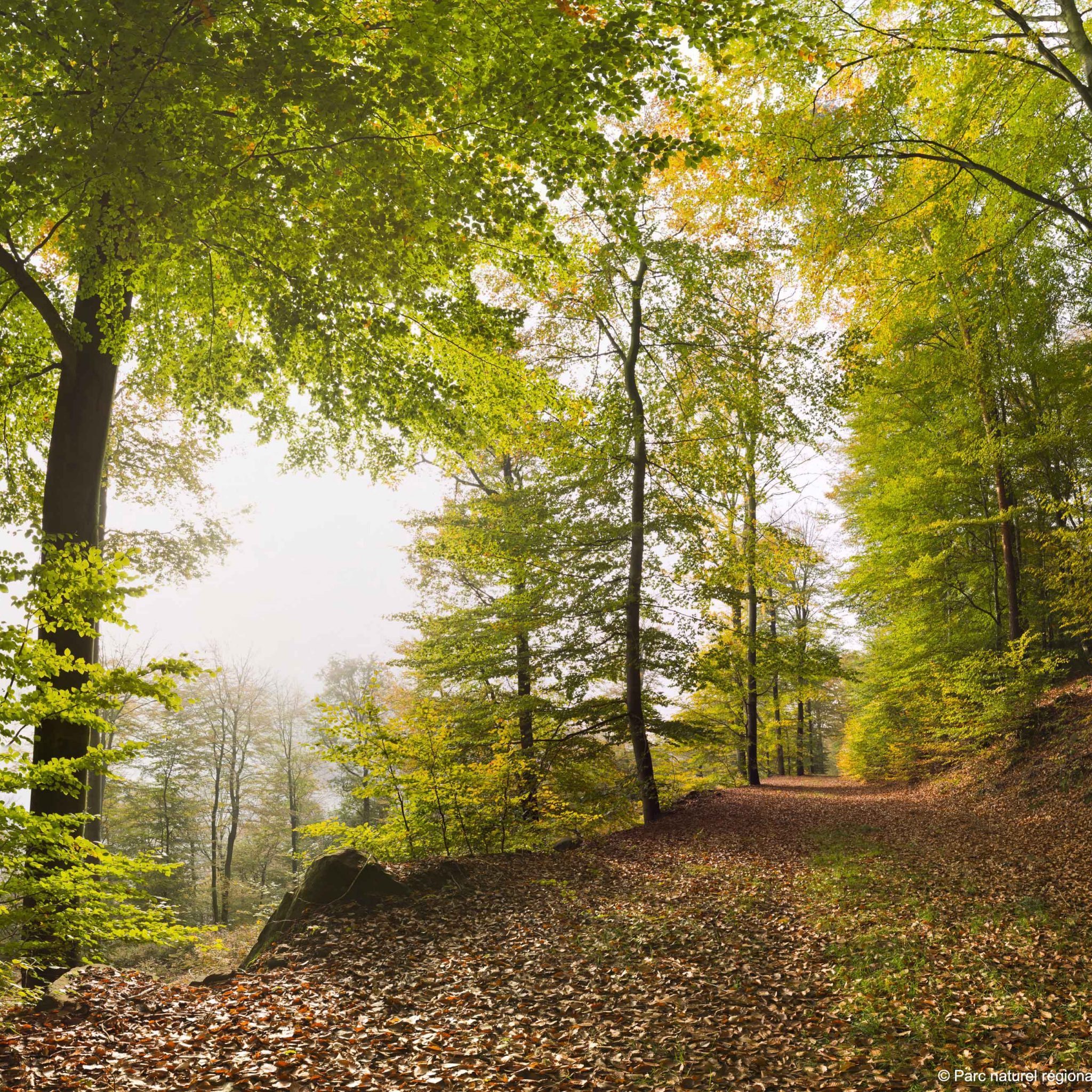 7 nouveaux sites franÃ§ais sur la Liste verte des aires protÃ©gÃ©es et