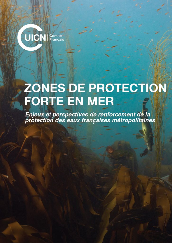 Zones de protection forte en mer : Enjeux et perspectives de renforcement de la protection des eaux françaises métropolitaines