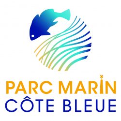 Logo PMCB