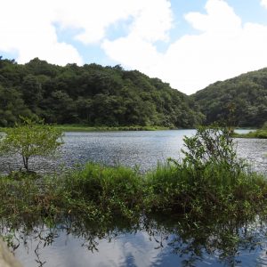 Grand-étang (c) C. Lesponne - Parc national de la Guadeloupe