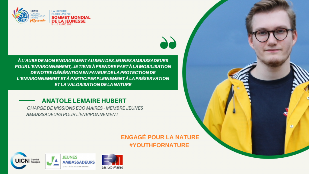 microsoftteams-image-12