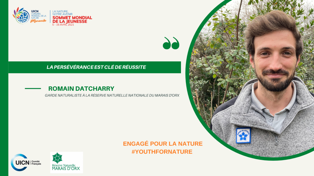 microsoftteams-image-7