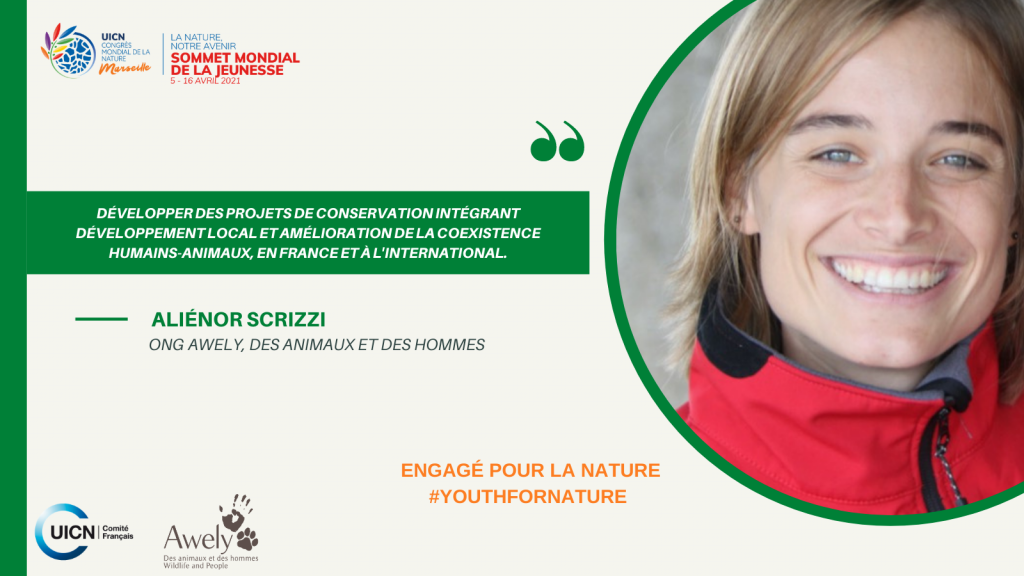 twitter-alienor-scizzi-awely