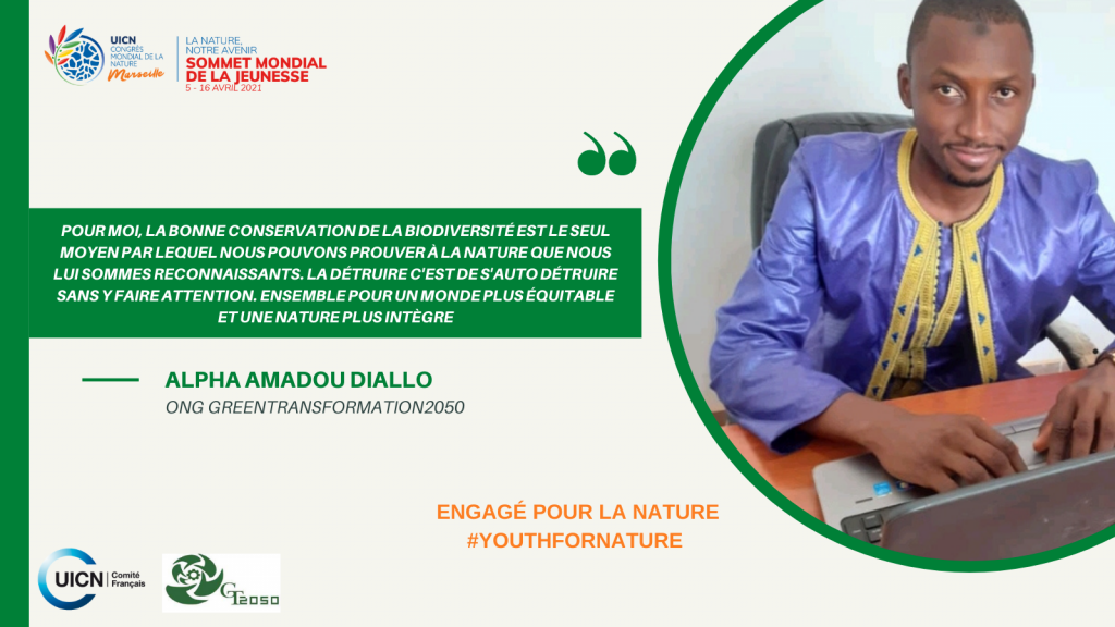 twitter-alpha-diallo-ong-greentransformation2050