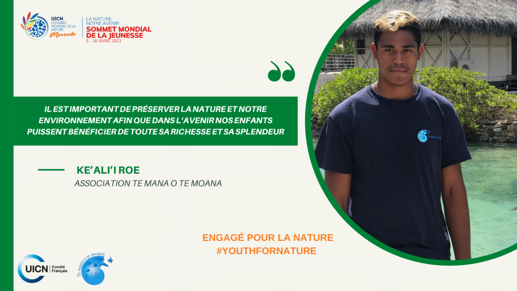 twitter-te-mana-ot-moana