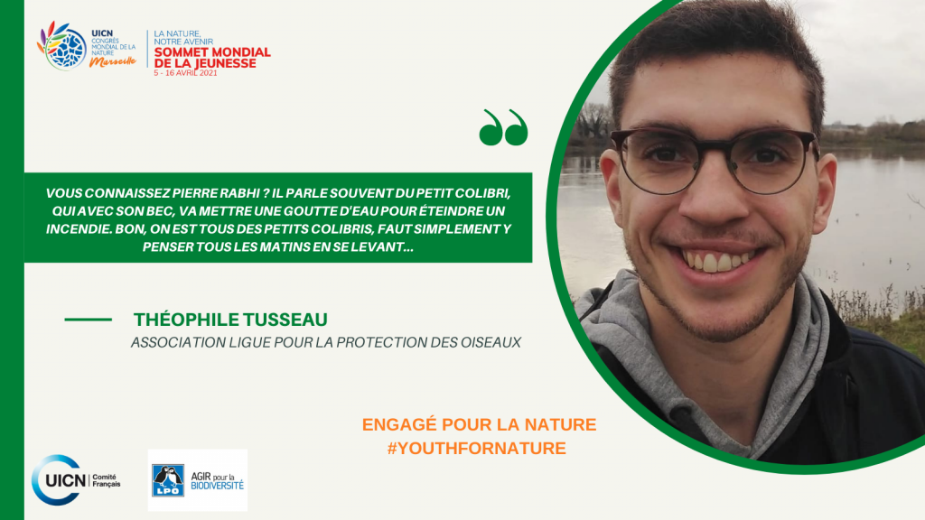 twitter-theophile-lpo