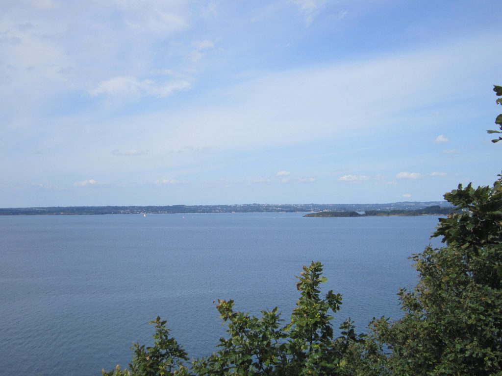 Réserve biologique intégrale du Bois du Loc'h © ONF