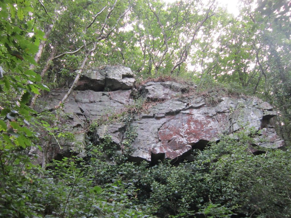 Réserve biologique intégrale du Bois du Loc'h © ONF