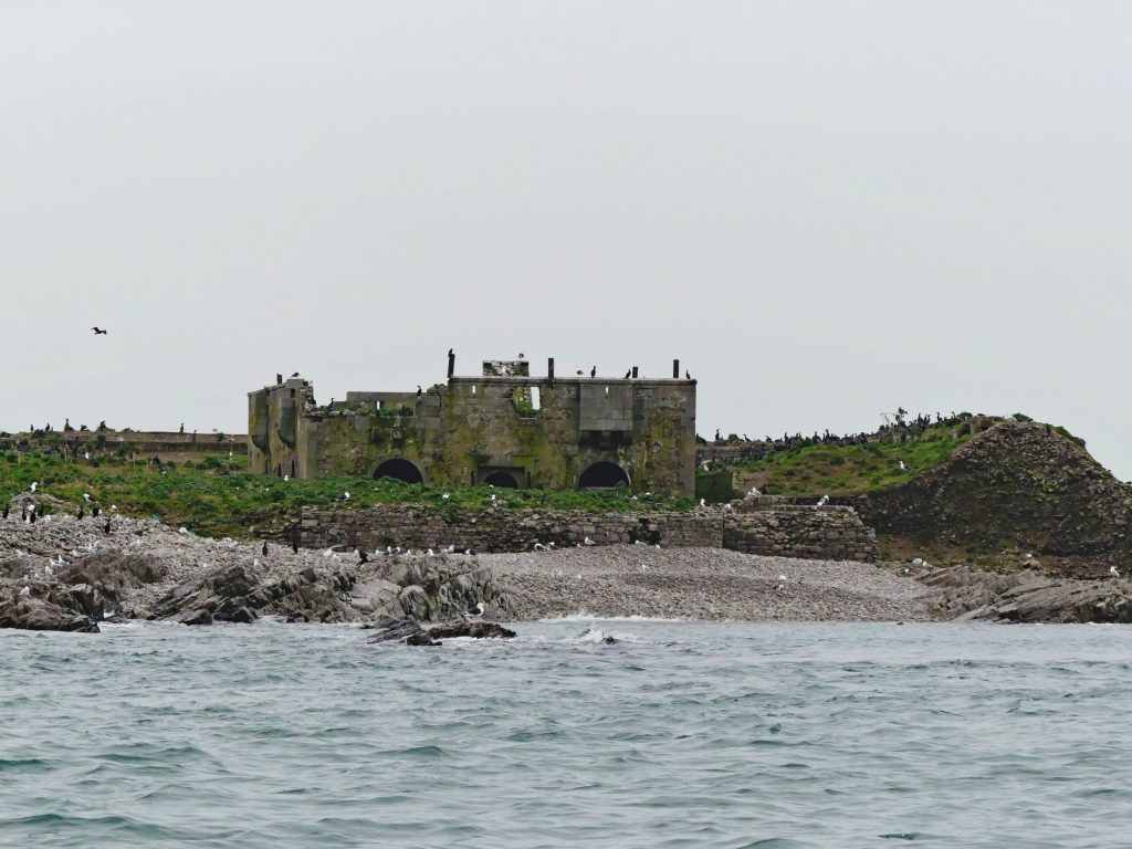 Ile de terre (c)  S. Poncet - OFB