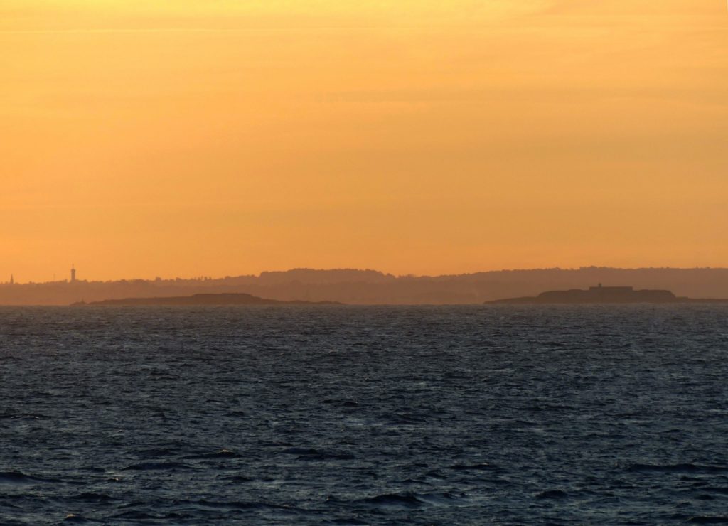 Iles Saint-Marcouf (c) S. Poncet - OFB