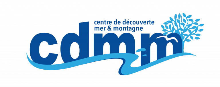 CDMM vecto mai 2019 version finale-01