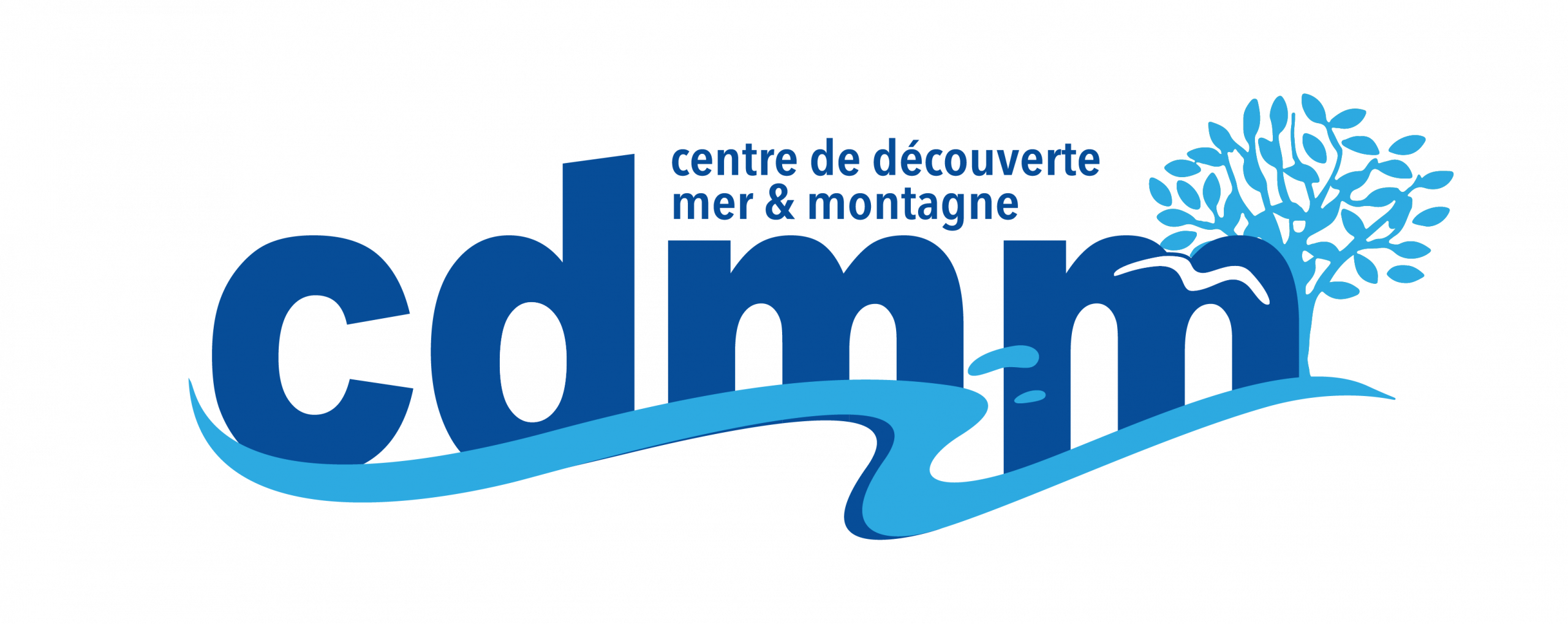 CDMM vecto mai 2019 version finale-01