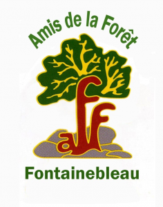 Logo AFF