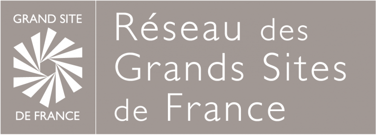 Logo RGSF-Final