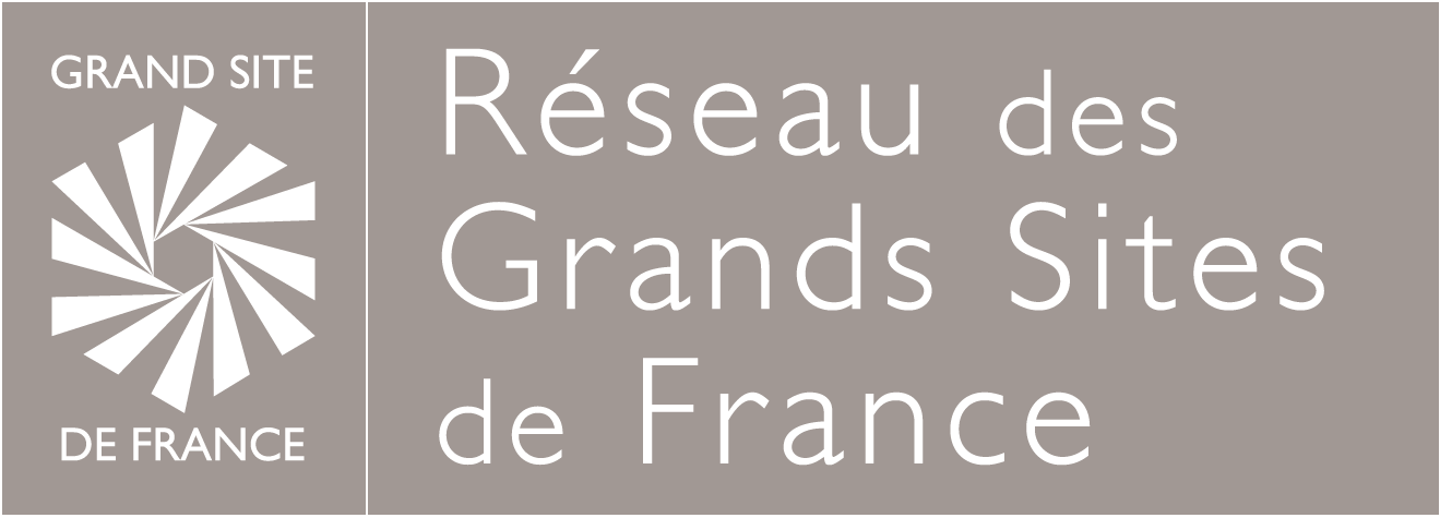 Logo RGSF-Final