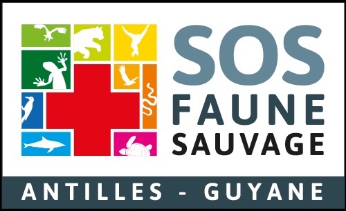 SOS-faune-sauvage-antillesguyane-logoweb