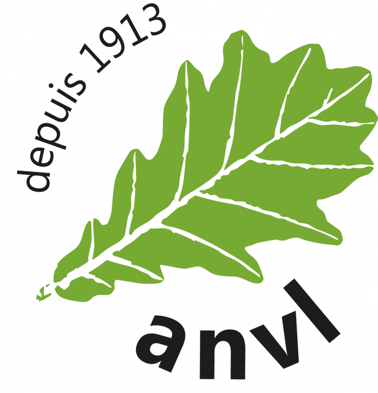 logo anvl HD