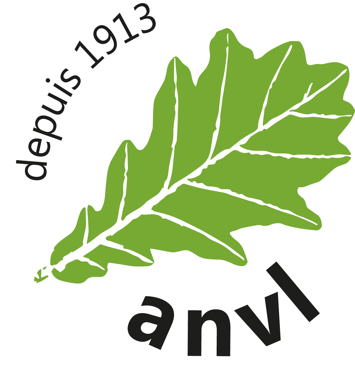 logo anvl HD