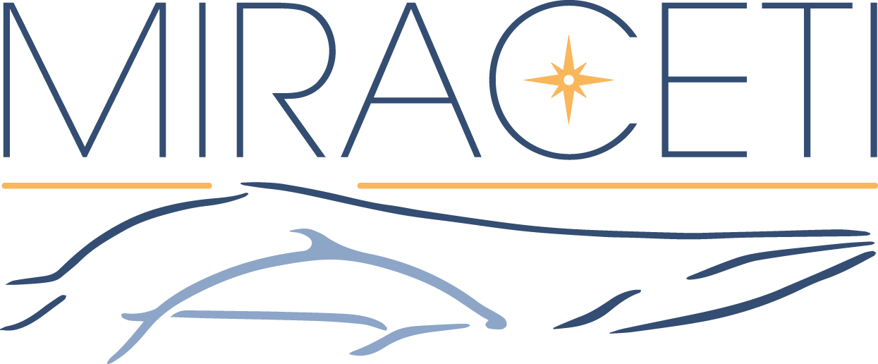logo_MIRACETI_rvb (1)