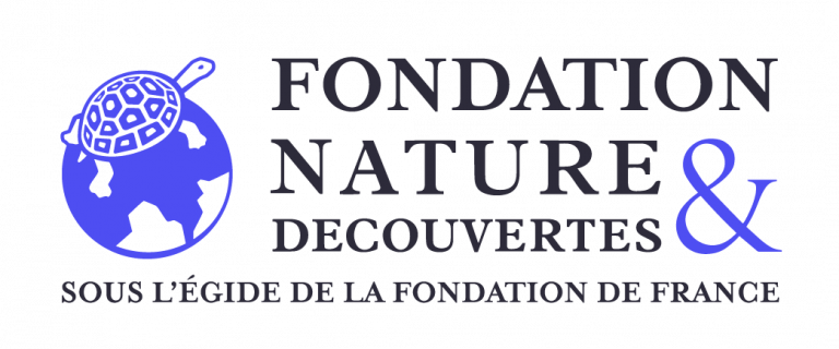 Fondation_Logo_Web_RVB_Bleu