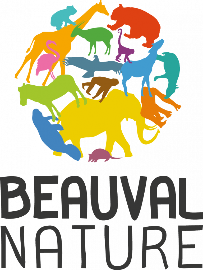 Logo-BN_Vertical-couleurs-gris