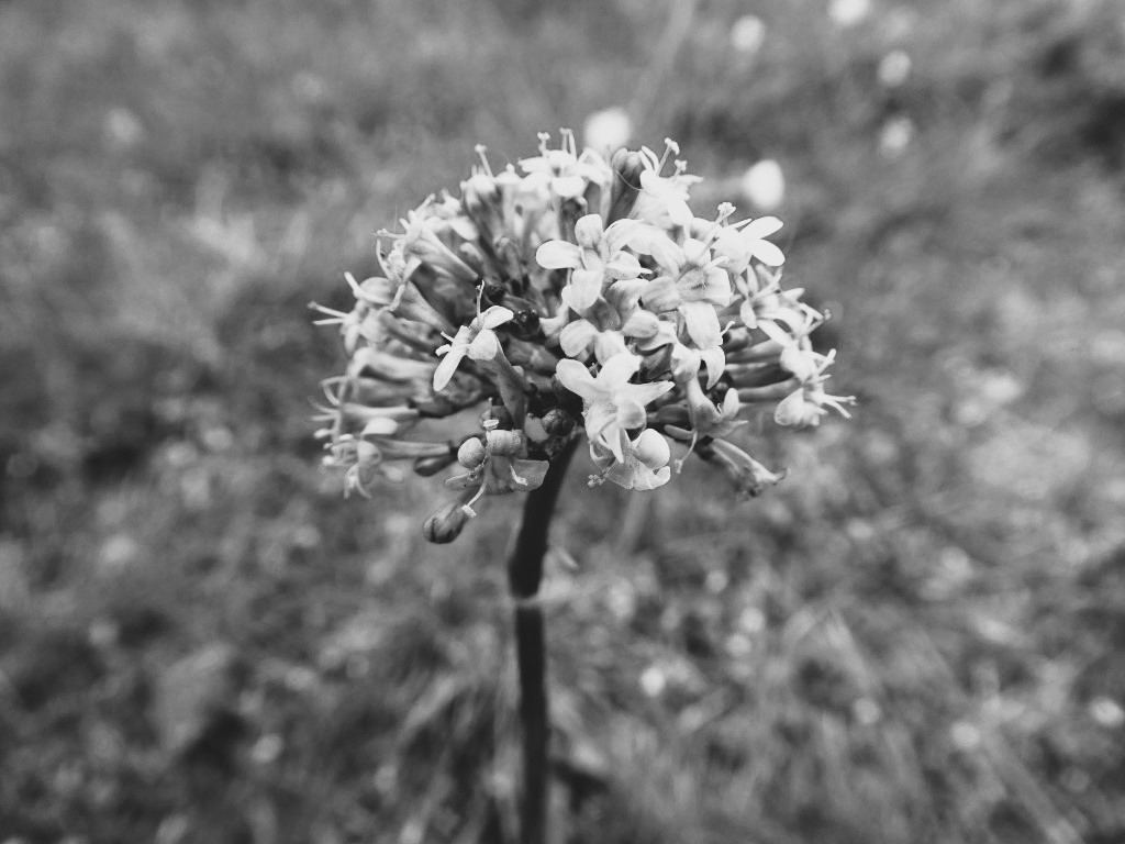 Gestionnaire de la Réserve naturelle régionale et Forêts d'Exception® du Val Suzon