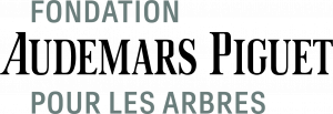 FondationAP-A_Logo_RVB