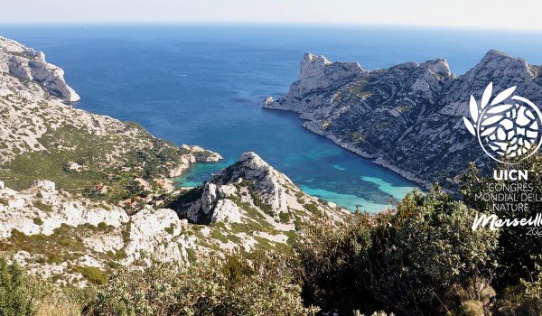 109-recommandations-congres-uicn