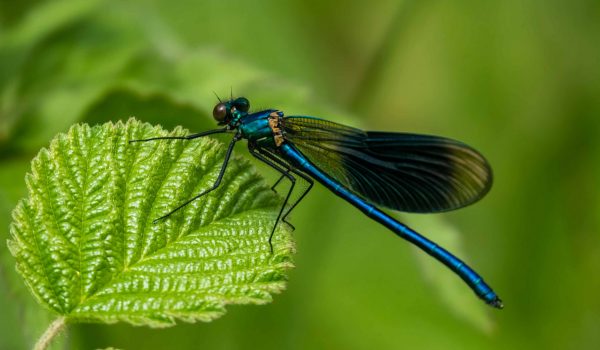 26042022-dsc_9605-modifier-scaled-1