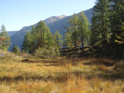 Réserve des Aiguilles Rouges © N. David, CEN74