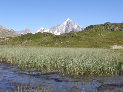 Carlaveyron © J. Heuret, CEN74