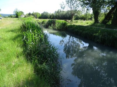 RNCFS Donzère-Mondragon © V. Croquet - OFB
