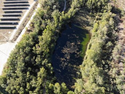 Mare blondel, RNCFS DM © E. Hansen - OFB