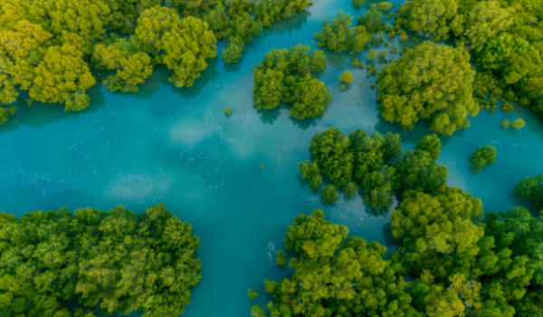 Capture d'écran 2026-01-19 120314