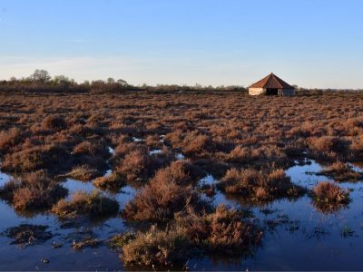 Giraud Nord, La Tour du Valat © D. Cohez