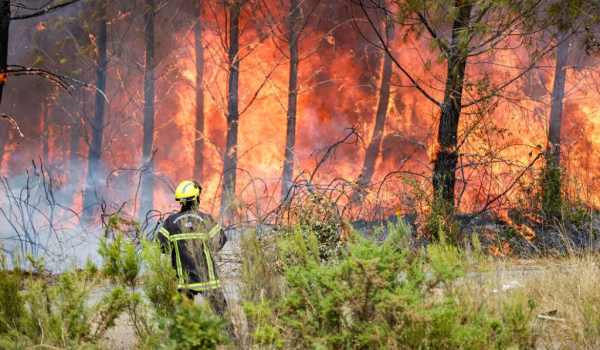 Incendies - Dans les Landes et en Girondes - NSABATHIER