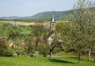 Verger au printemps à Langensoultzbach, Parc naturel régional des Vosges du Nord © Y. Meyer