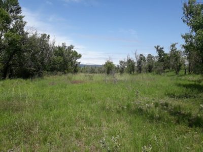 Pelouses Entraigues, RNCFS DM © V. Croquet - OFB