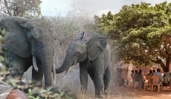 bando-cooperation-internationale-2