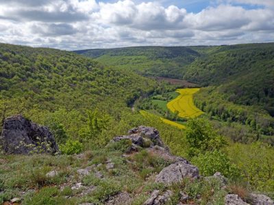 RNR du Val Suzon (c) M. Tréca, ONF