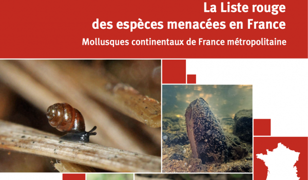 capture-decran-2021-10-22-a-11.56.40