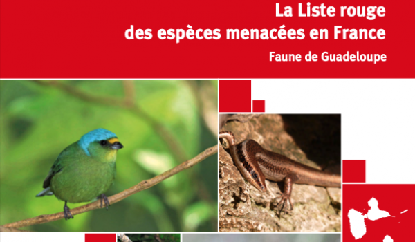 capture-decran-2022-01-20-a-11.24.16