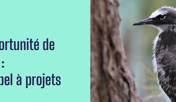 capture-decran-2025-05-14-172827